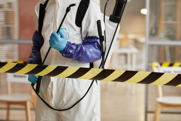 Professional Odor Removal technician working in Colchester, IL