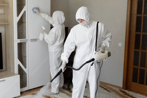 24/7 Emergency Odor Removal experts in Colchester, IL