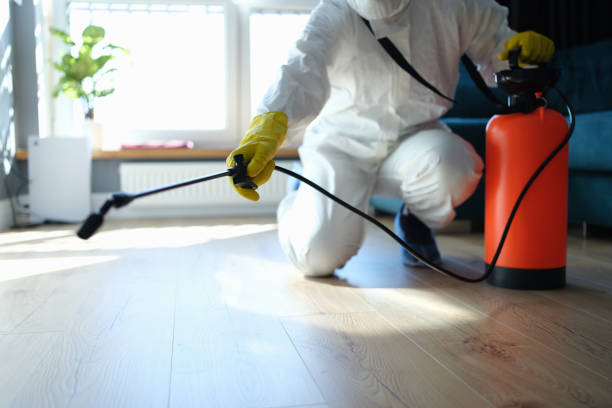 Reliable Odor Removal contractor in Colchester, IL by Crime Scene Cleaner Online